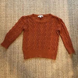 Petite Orange Knit Sweater